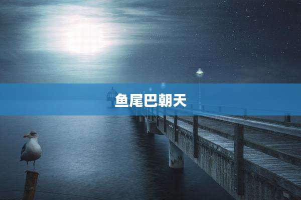 鱼尾巴朝天