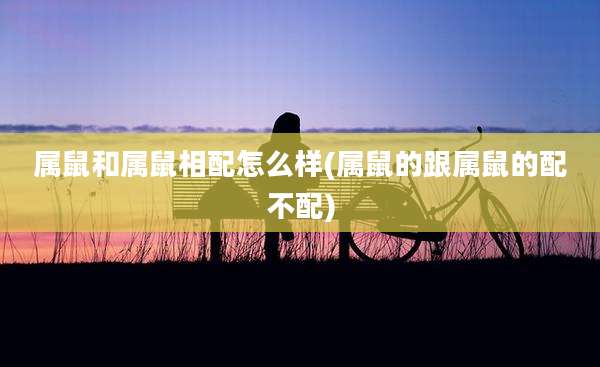 属鼠和属鼠相配怎么样(属鼠的跟属鼠的配不配)