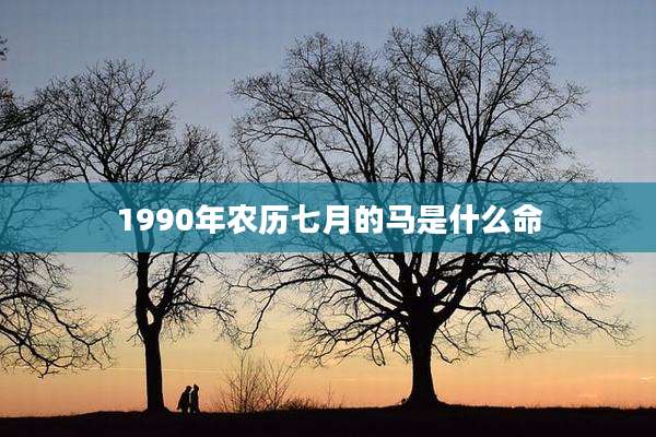 1990年农历七月的马是什么命