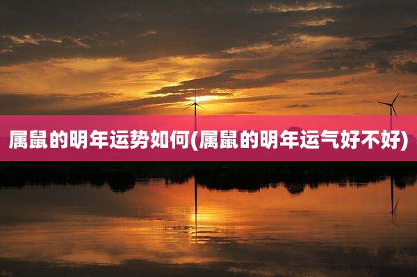 属鼠的明年运势如何(属鼠的明年运气好不好)