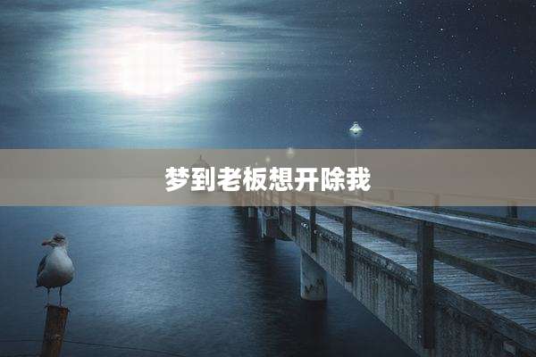 梦到老板想开除我