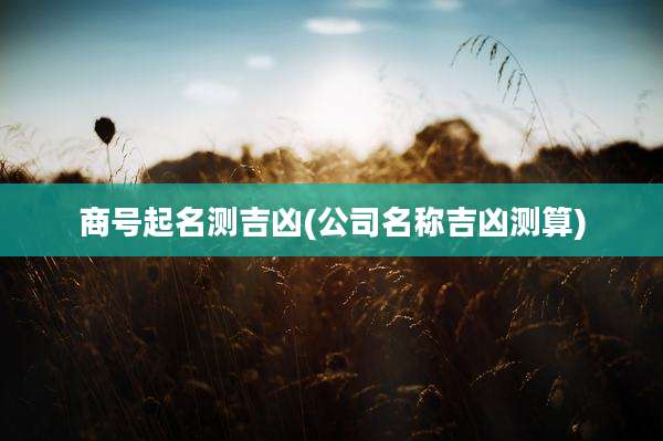 商号起名测吉凶(公司名称吉凶测算)