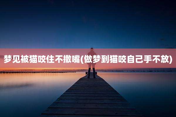 梦见被猫咬住不撒嘴(做梦到猫咬自己手不放)