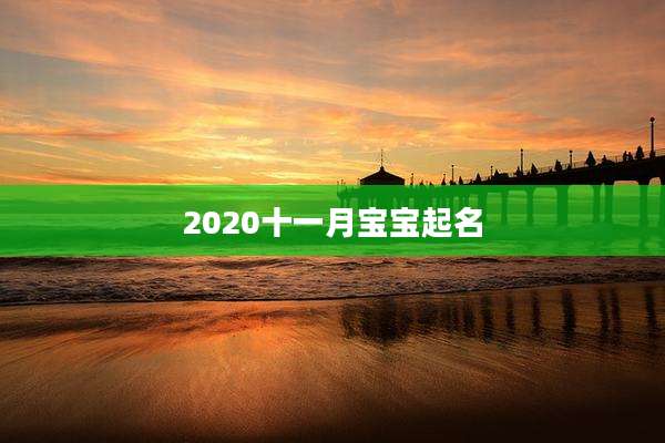 2020十一月宝宝起名