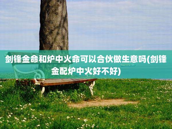 剑锋金命和炉中火命可以合伙做生意吗(剑锋金配炉中火好不好)