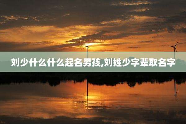 刘少什么什么起名男孩,刘姓少字辈取名字