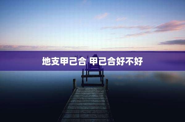 地支甲己合 甲己合好不好