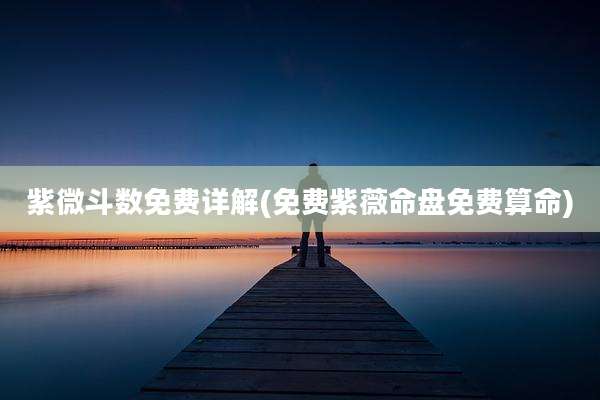 紫微斗数免费详解(免费紫薇命盘免费算命)