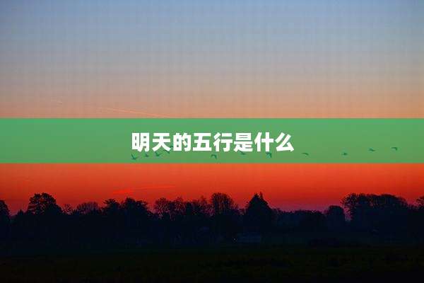 明天的五行是什么