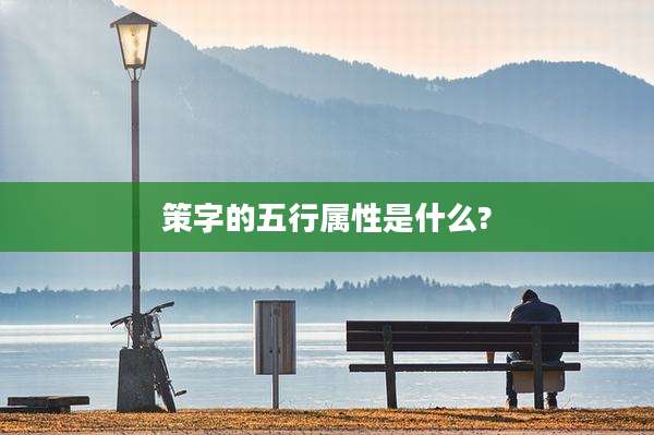 策字的五行属性是什么?