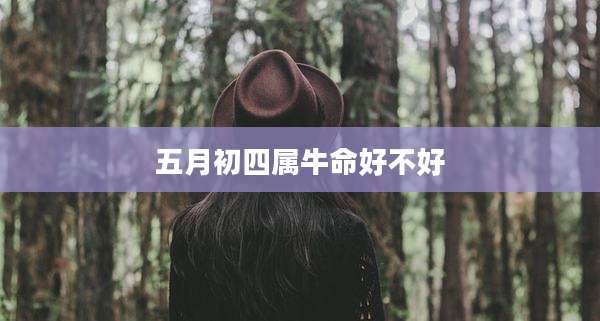 五月初四属牛命好不好