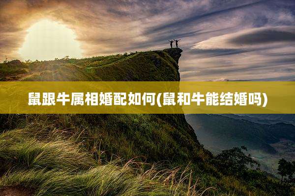 鼠跟牛属相婚配如何(鼠和牛能结婚吗)
