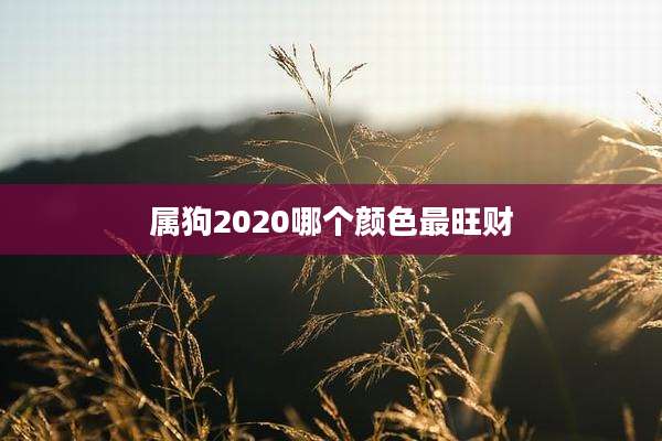 属狗2020哪个颜色最旺财