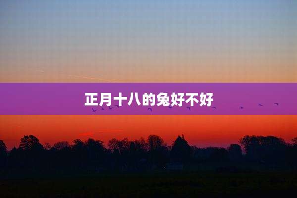 正月十八的兔好不好