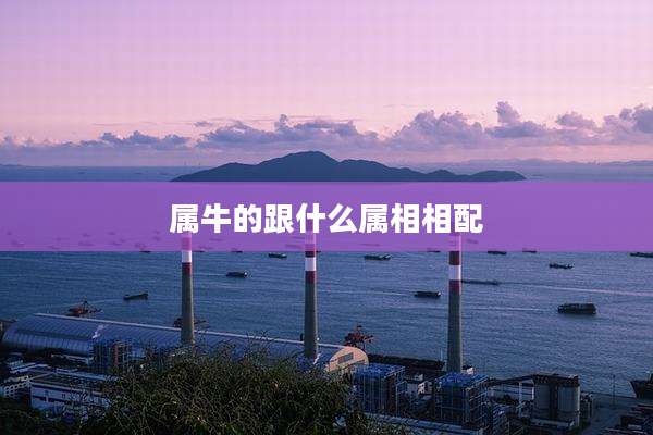 属牛的跟什么属相相配