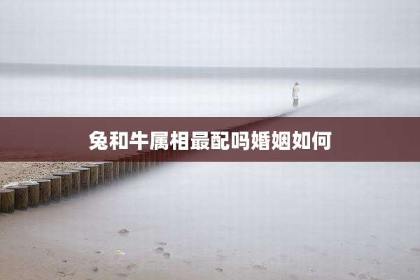 兔和牛属相最配吗婚姻如何