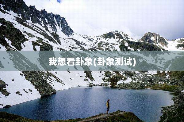 我想看卦象(卦象测试)