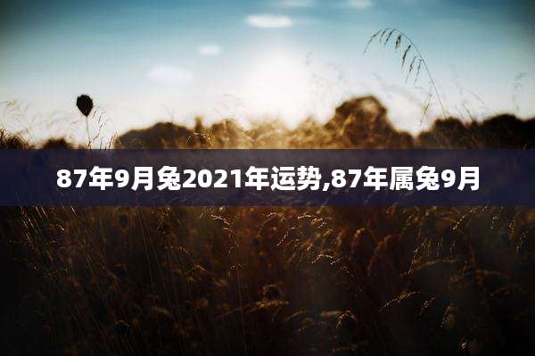 87年9月兔2021年运势,87年属兔9月