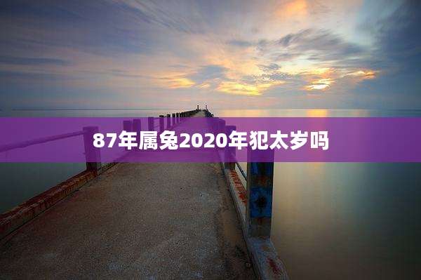 87年属兔2020年犯太岁吗