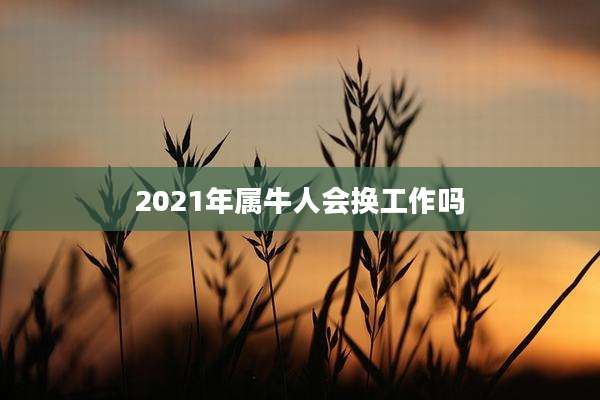 2021年属牛人会换工作吗