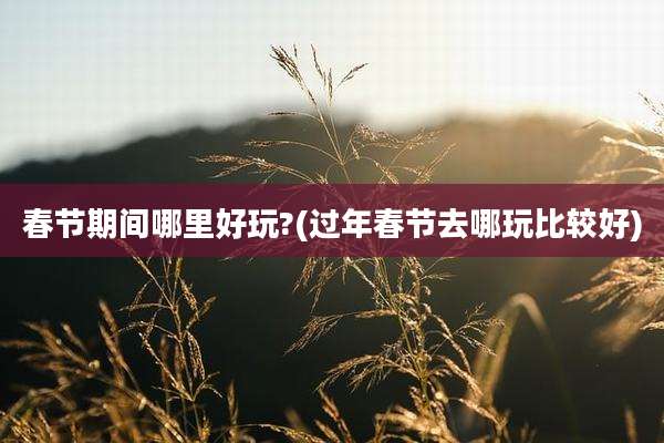 春节期间哪里好玩?(过年春节去哪玩比较好)