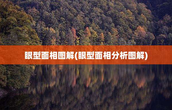 眼型面相图解(眼型面相分析图解)
