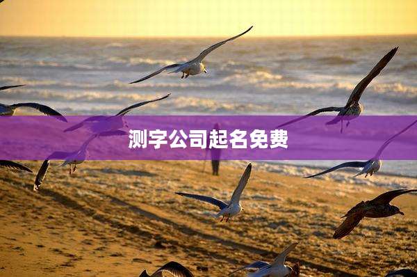 测字公司起名免费
