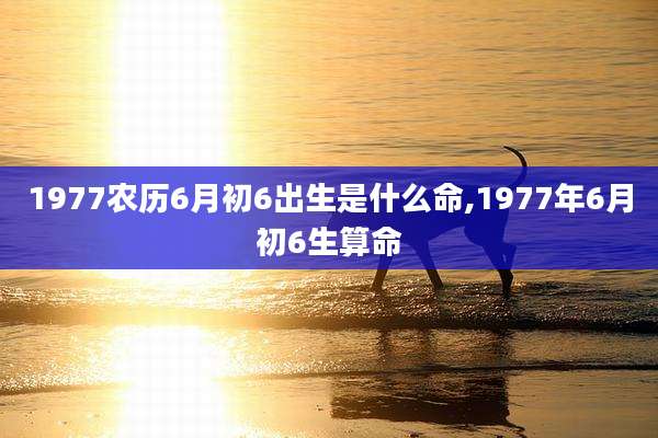 1977农历6月初6出生是什么命,1977年6月初6生算命