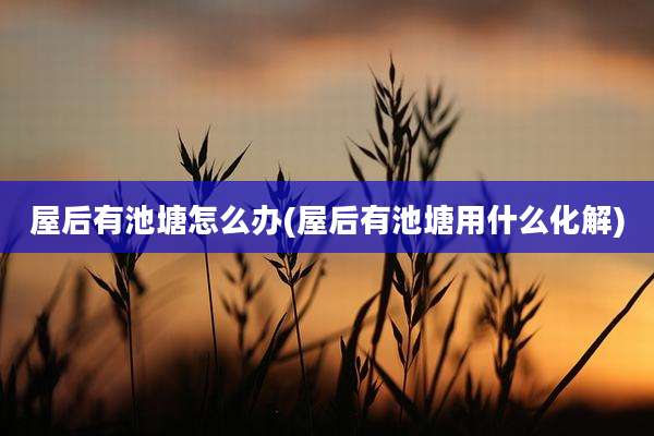 屋后有池塘怎么办(屋后有池塘用什么化解)