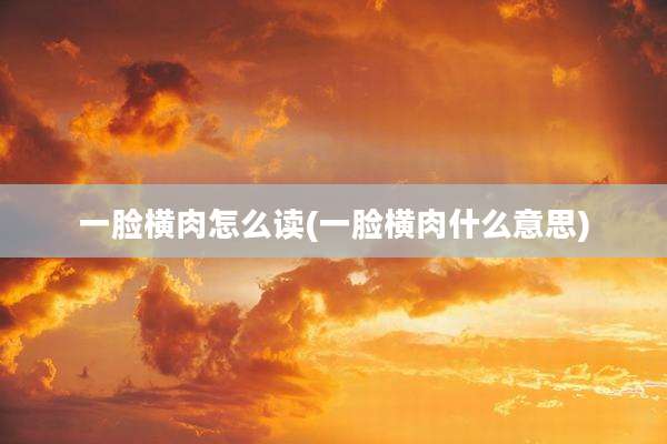 一脸横肉怎么读(一脸横肉什么意思)