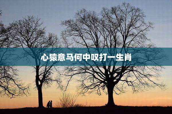 心猿意马何中叹打一生肖