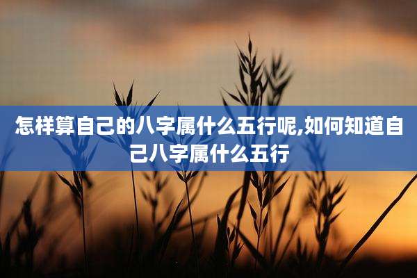 怎样算自己的八字属什么五行呢,如何知道自己八字属什么五行