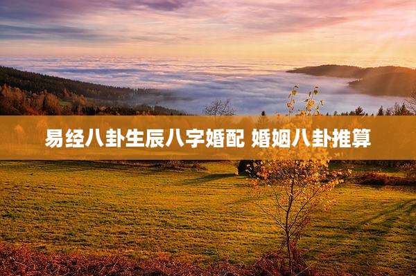 易经八卦生辰八字婚配 婚姻八卦推算