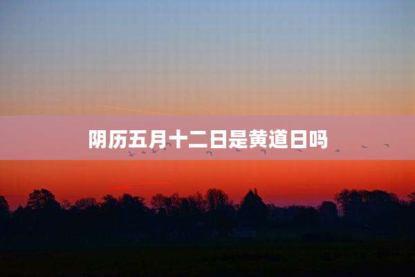 阴历五月十二日是黄道日吗