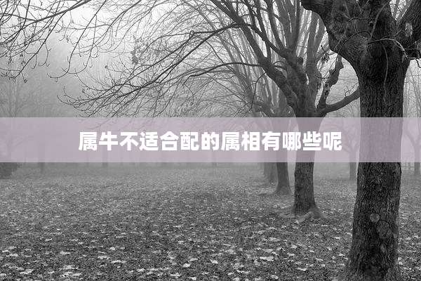 属牛不适合配的属相有哪些呢