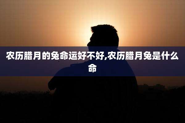 农历腊月的兔命运好不好,农历腊月兔是什么命