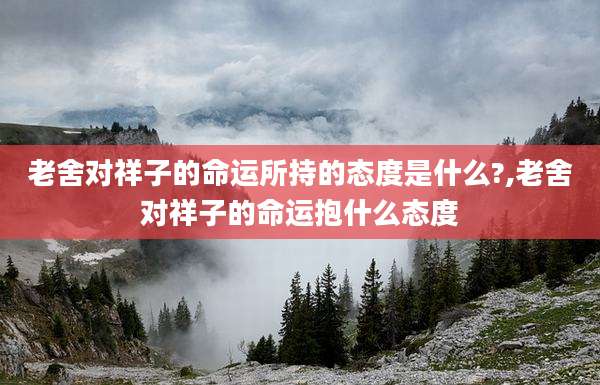 老舍对祥子的命运所持的态度是什么?,老舍对祥子的命运抱什么态度
