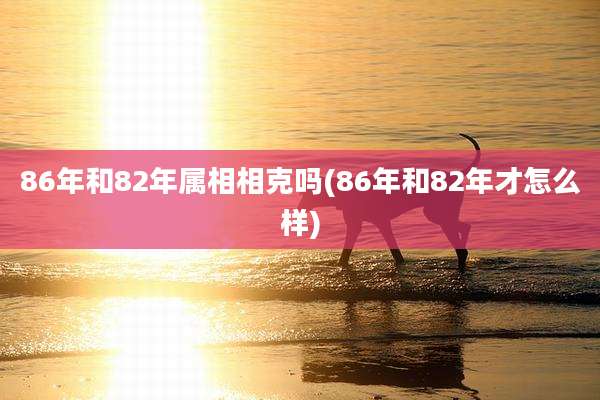 86年和82年属相相克吗(86年和82年才怎么样)