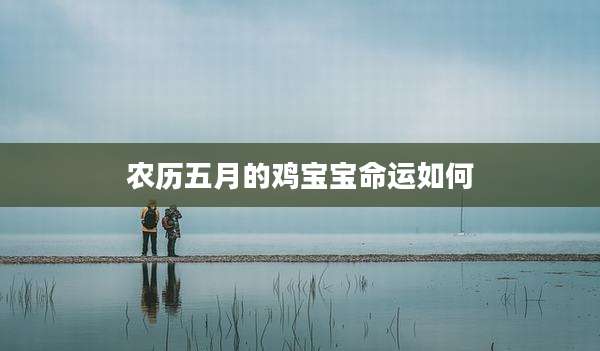 农历五月的鸡宝宝命运如何