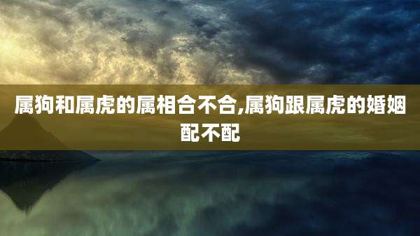 属狗和属虎的属相合不合,属狗跟属虎的婚姻配不配