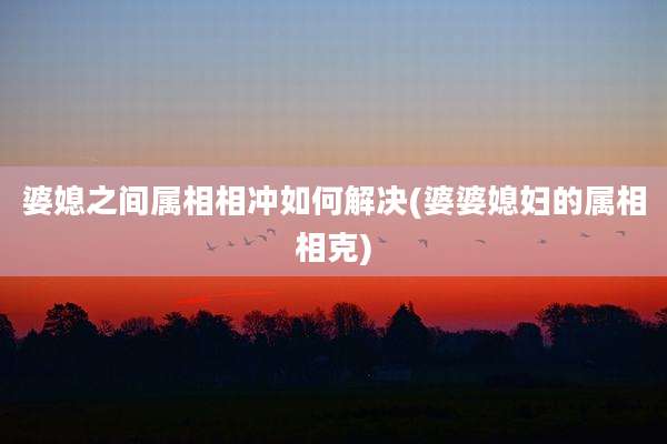 婆媳之间属相相冲如何解决(婆婆媳妇的属相相克)