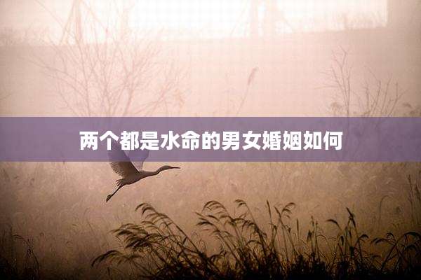 两个都是水命的男女婚姻如何