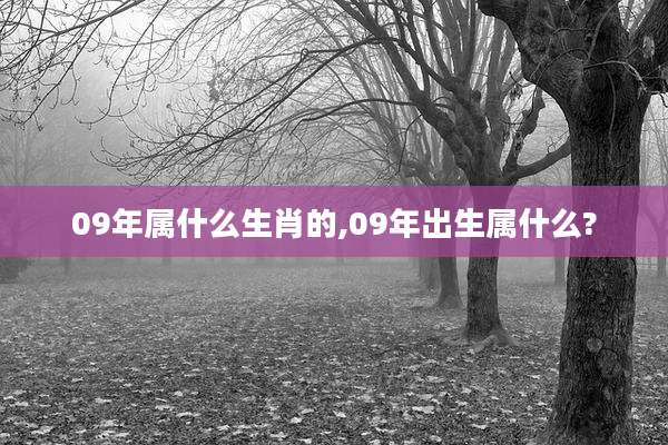 09年属什么生肖的,09年出生属什么?