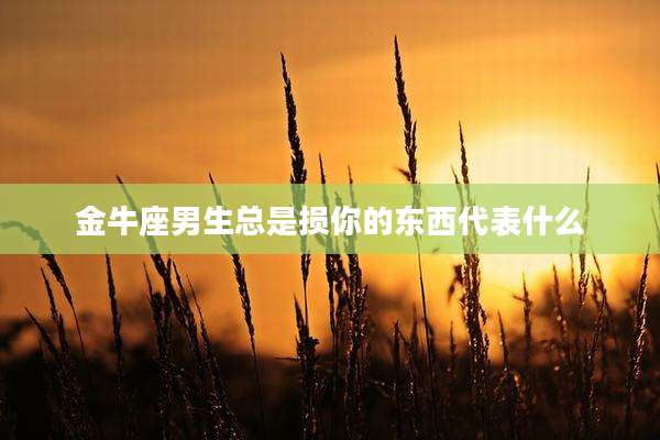 金牛座男生总是损你的东西代表什么