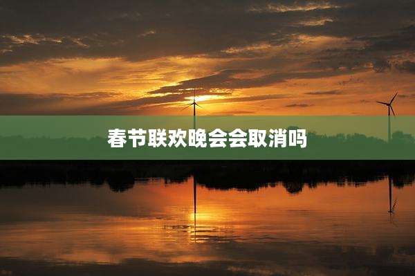 春节联欢晚会会取消吗
