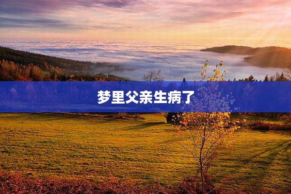 梦里父亲生病了