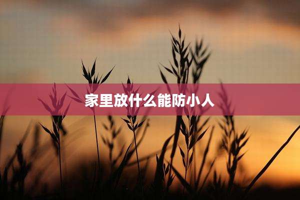家里放什么能防小人