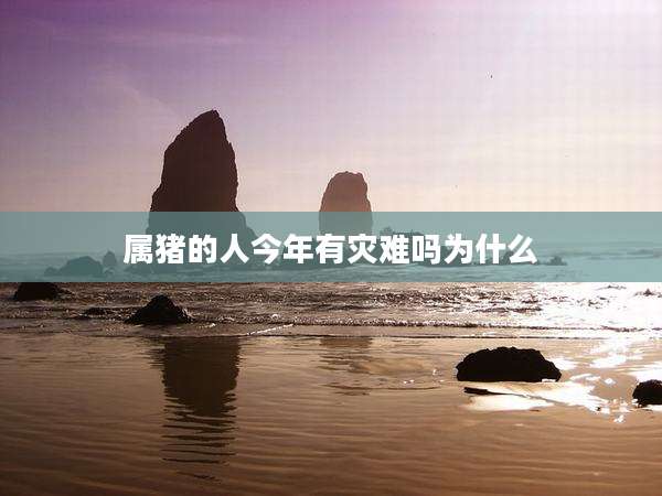 属猪的人今年有灾难吗为什么
