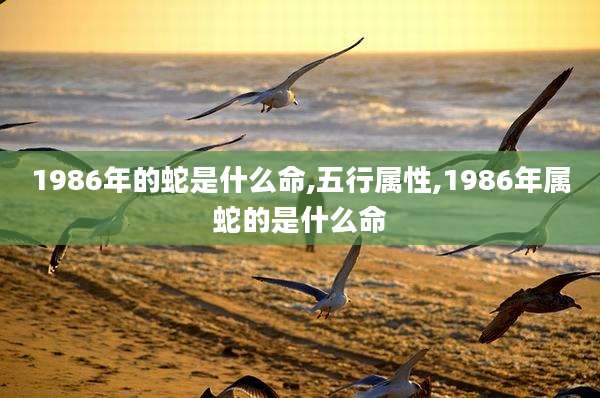 1986年的蛇是什么命,五行属性,1986年属蛇的是什么命