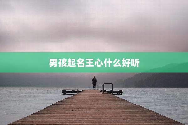 男孩起名王心什么好听